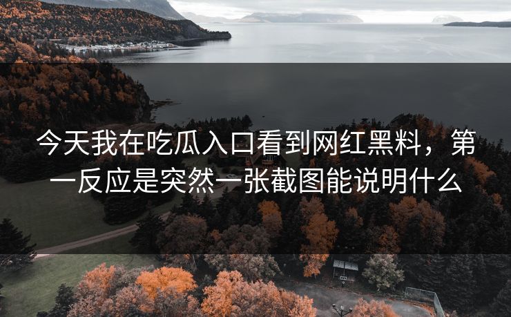 今天我在吃瓜入口看到网红黑料，第一反应是突然一张截图能说明什么